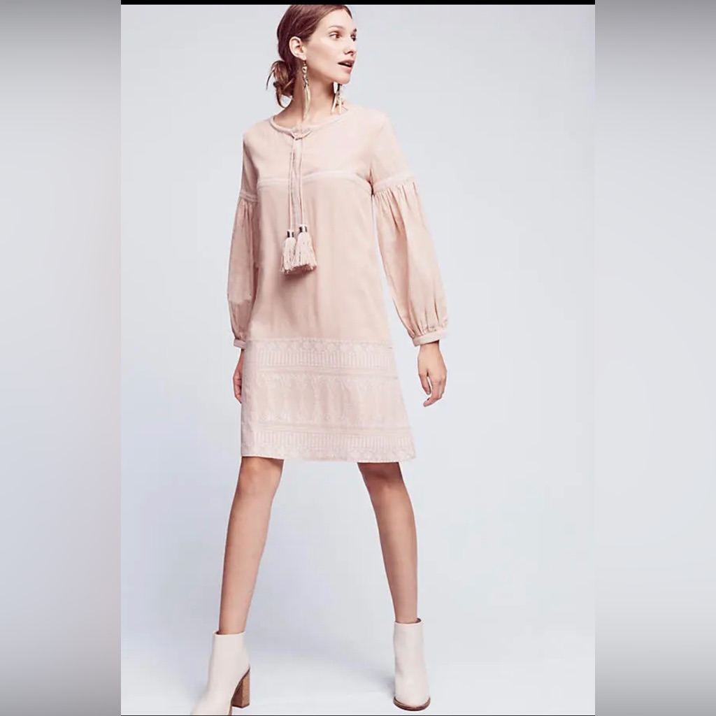 Anthropologie Eliana Embroidered Shirtdress By Flannel Size 2 (Medium). Rare